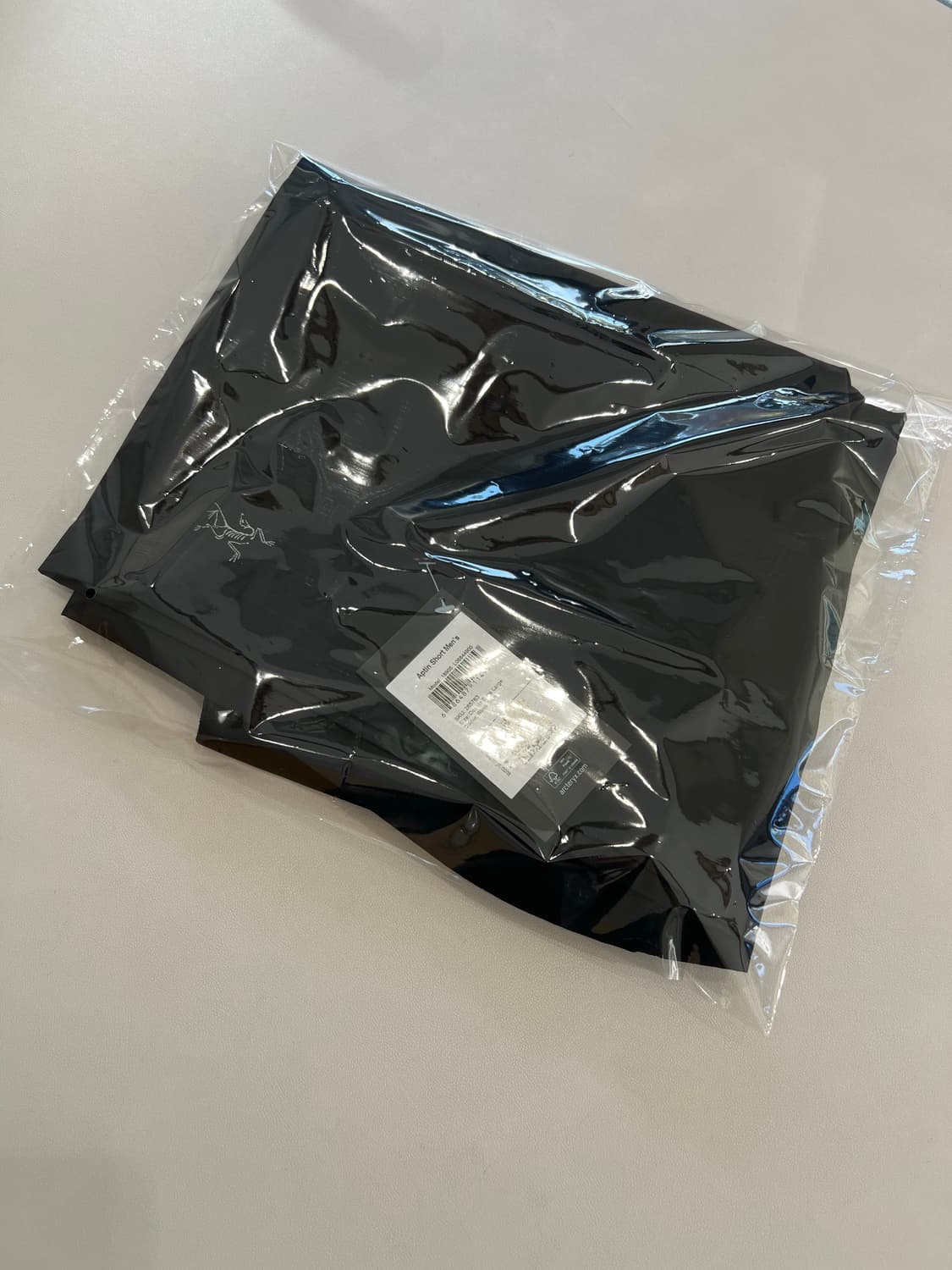 아크테릭스 앱틴 숏팬츠 상품이미지10