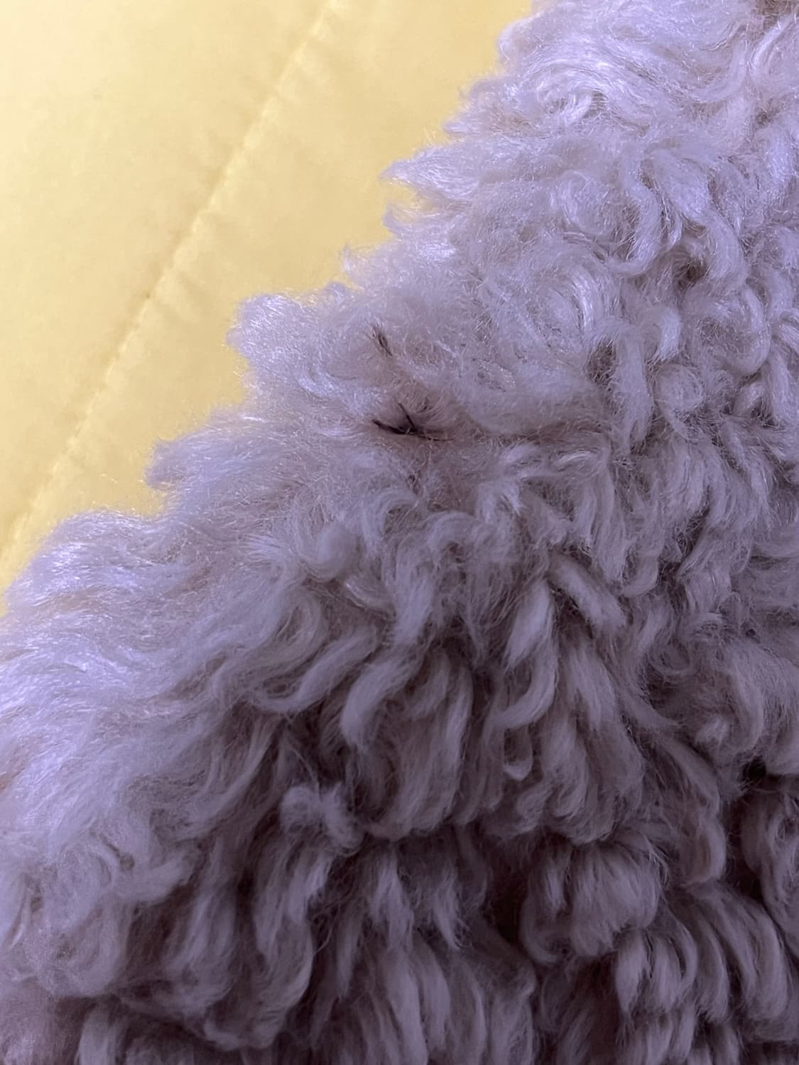 오버핏 털 조끼  상품이미지3