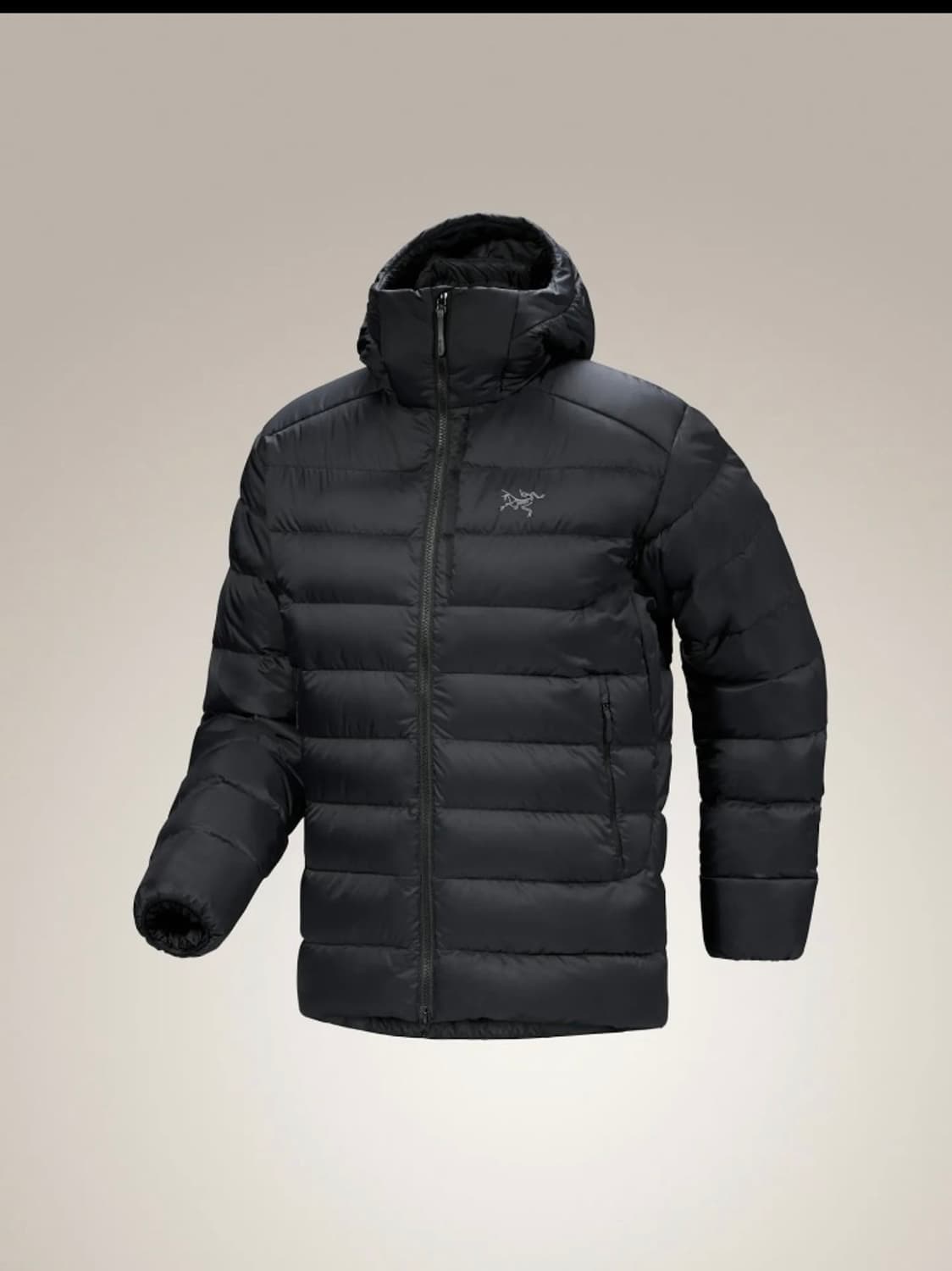 [미개봉 새상품] 아크테릭스 토륨후디 L사이즈 상품이미지1