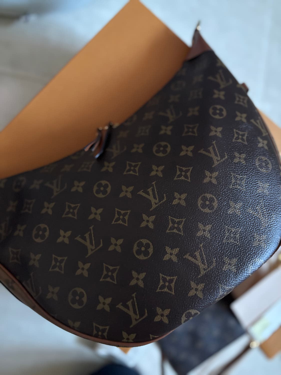 루이비통 루프 호보백 모노그램 M46311 상품이미지10
