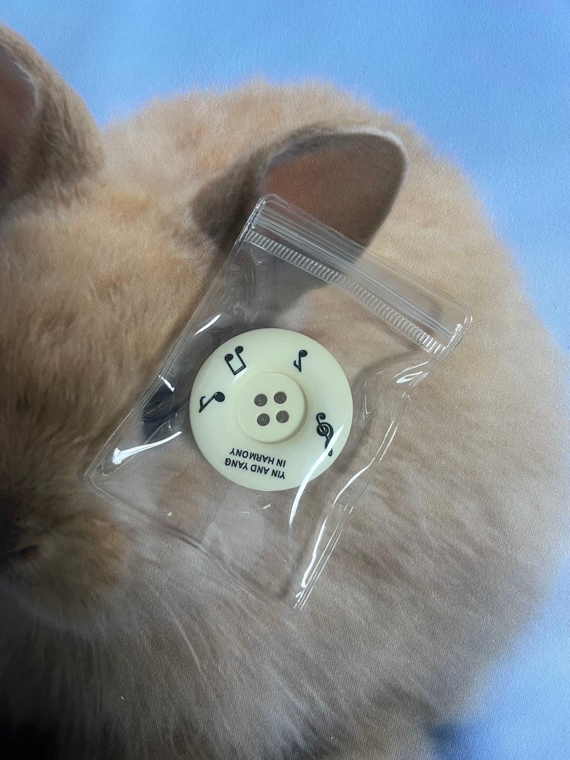 인앤양인하모니 팝업 그립톡 아이보리 상품이미지1