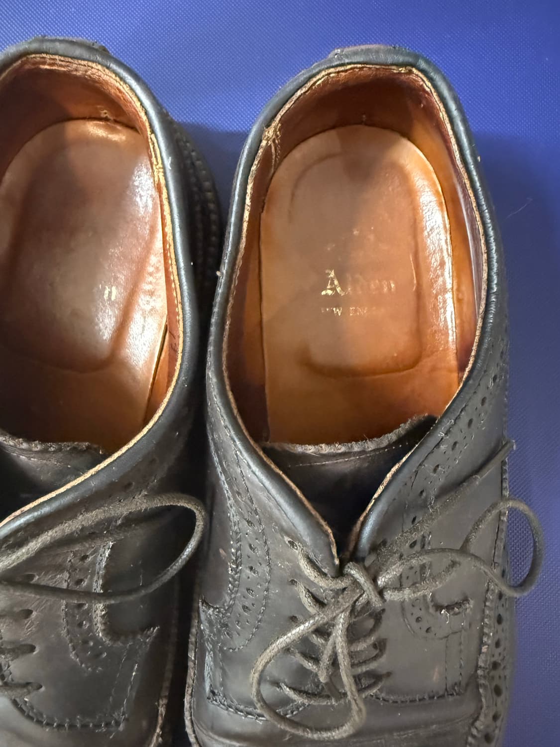 Alden Longwing Blucher Brown Chromexcel 상품이미지5