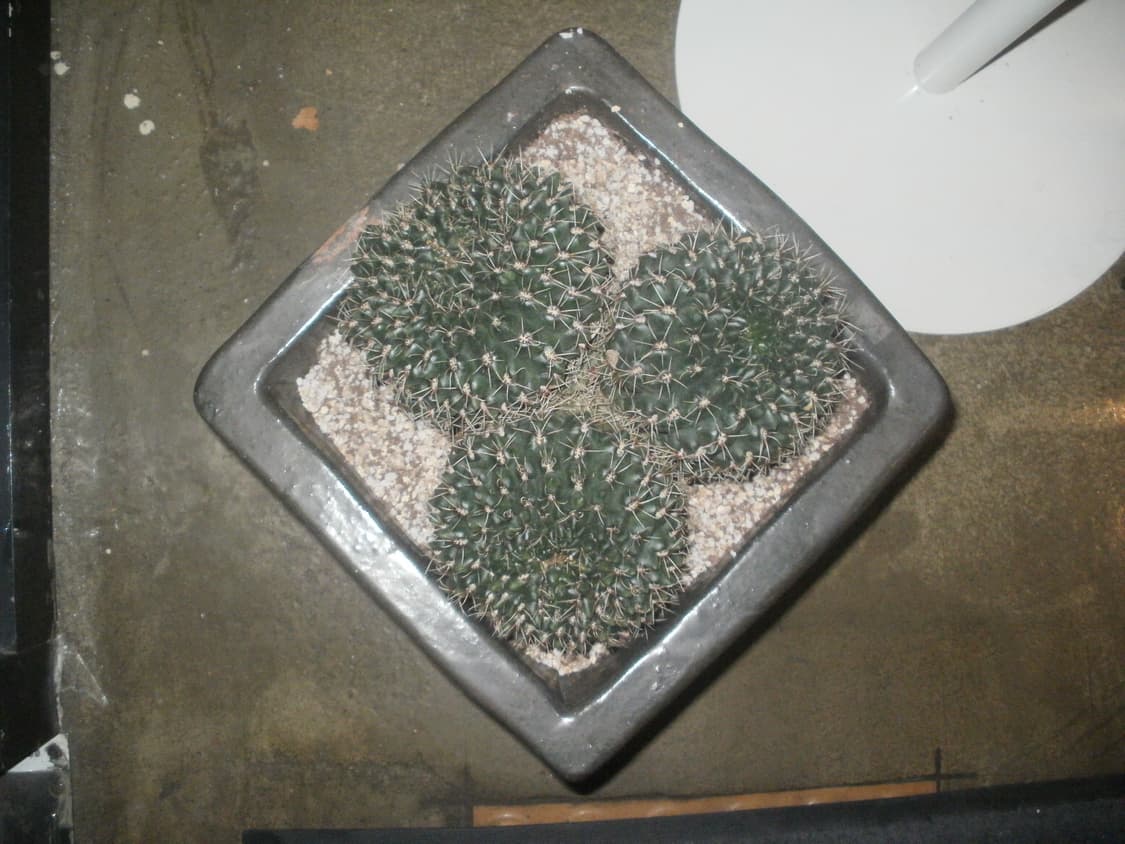 한글지원)올림푸스 fe-47 실버 빈티지 디카 상품이미지10