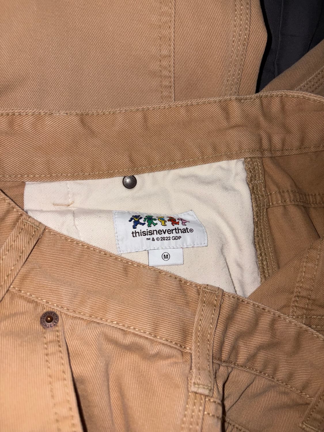 디스이즈네버댓 그레이트풀데드 GD 라이트닝 카펜터 팬츠 상품이미지3