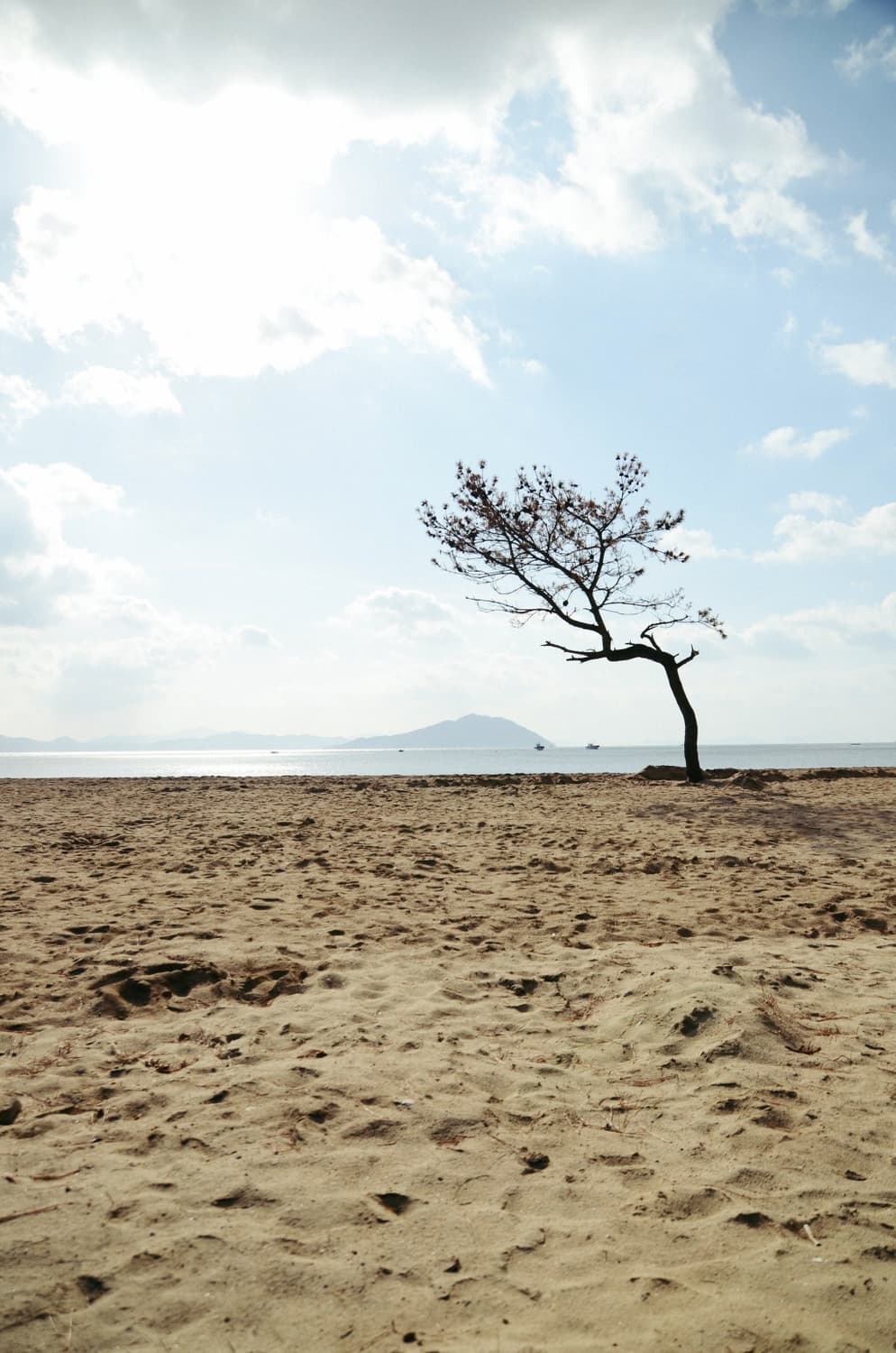 (A급) Kodak EasyShare M873 (코닥 M873)  상품이미지7