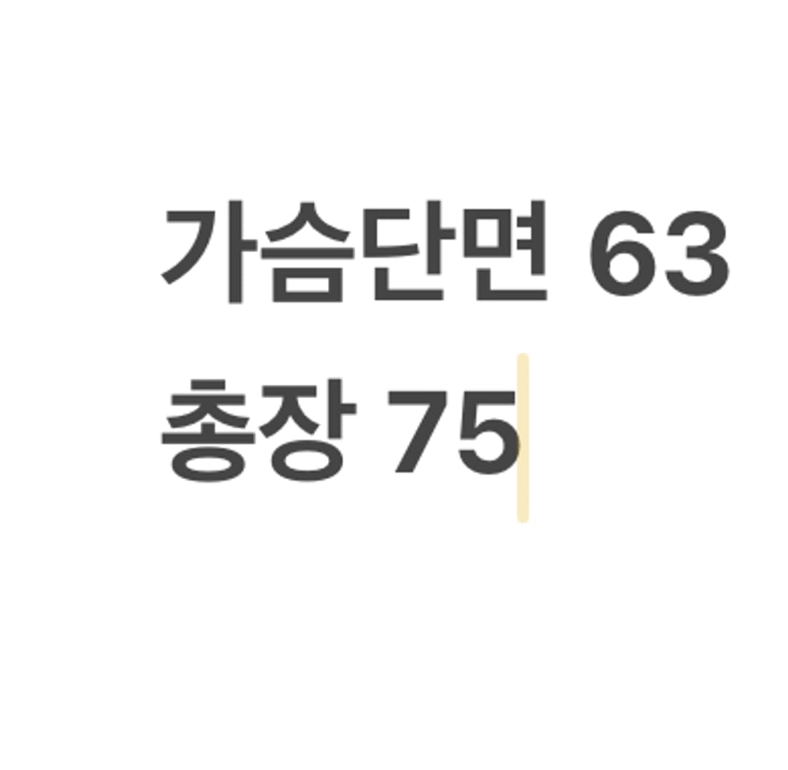 [110] 롯데 자이언츠 신슐레이트 야구 점퍼 b8 상품이미지8