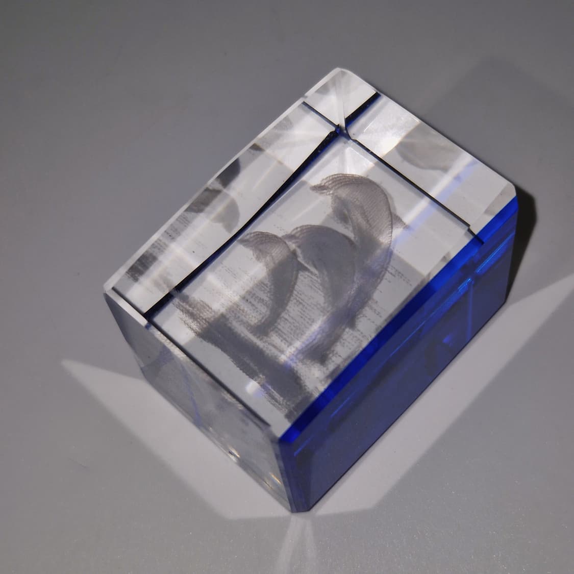 90s 크리스탈 유영 돌고래 3D 오브제 상품이미지10