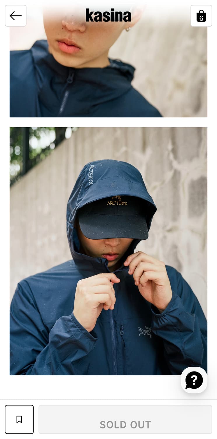 아크테릭스 버드 워드 캡 24K 블랙 상품이미지6