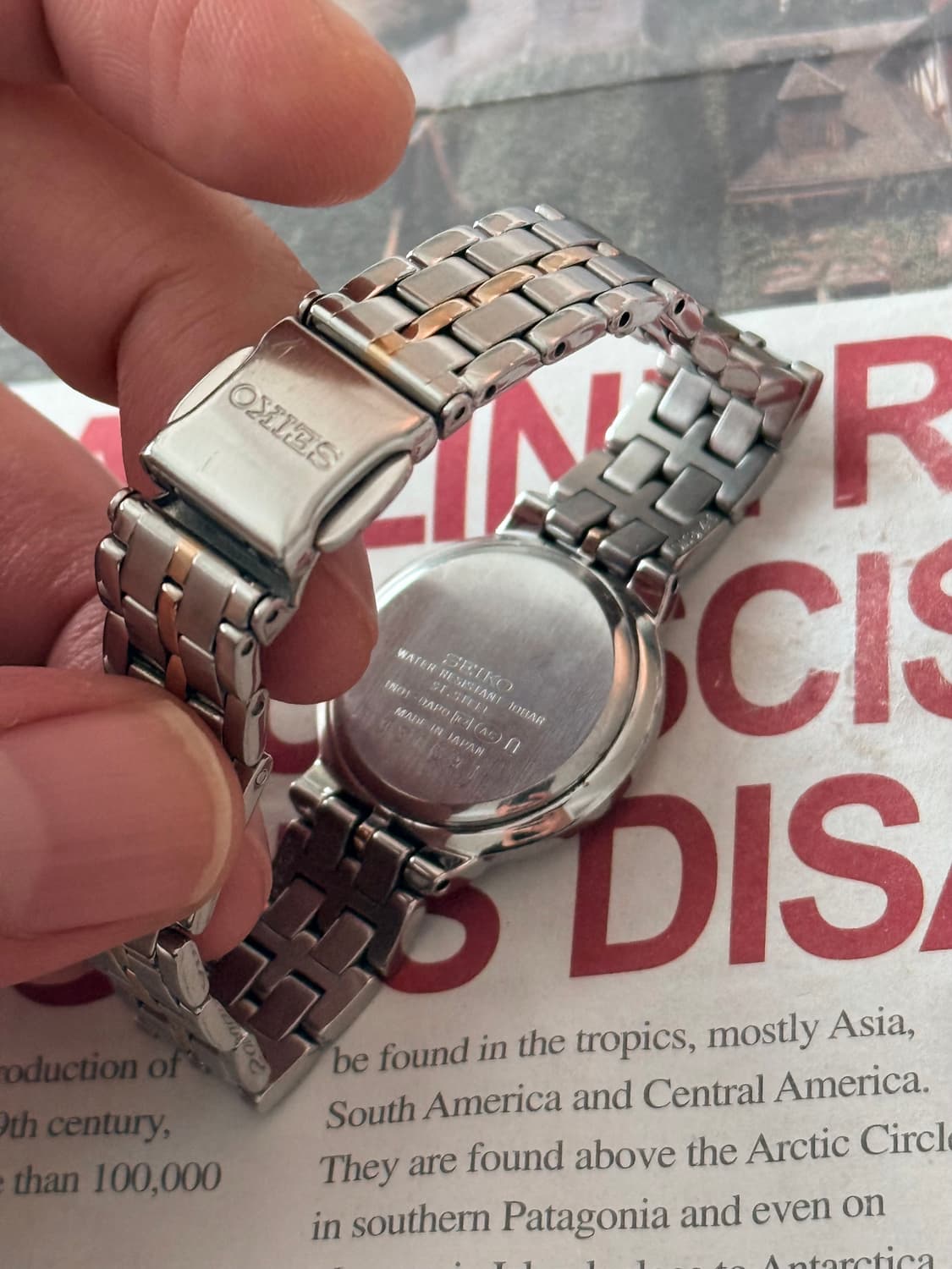 세이코 Seiko 콤비 레이디스 상품이미지3