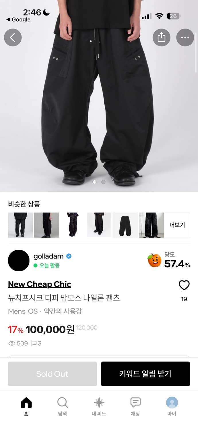 뉴치프시크 디피 맘모스 나일론 팬츠 상품이미지3