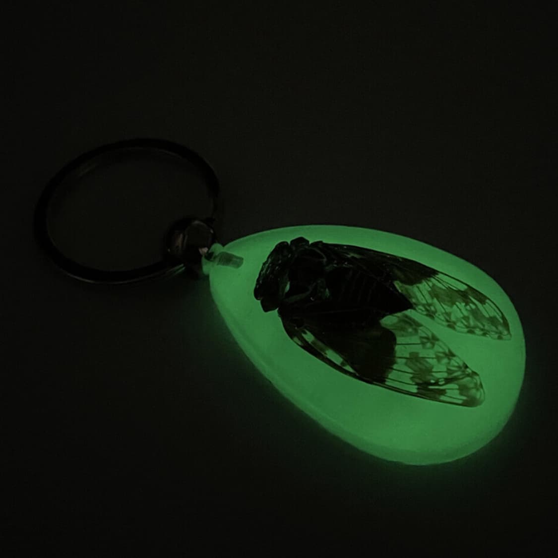 미하라 야스히로 (Mihara Yasuhiro) 상품이미지2