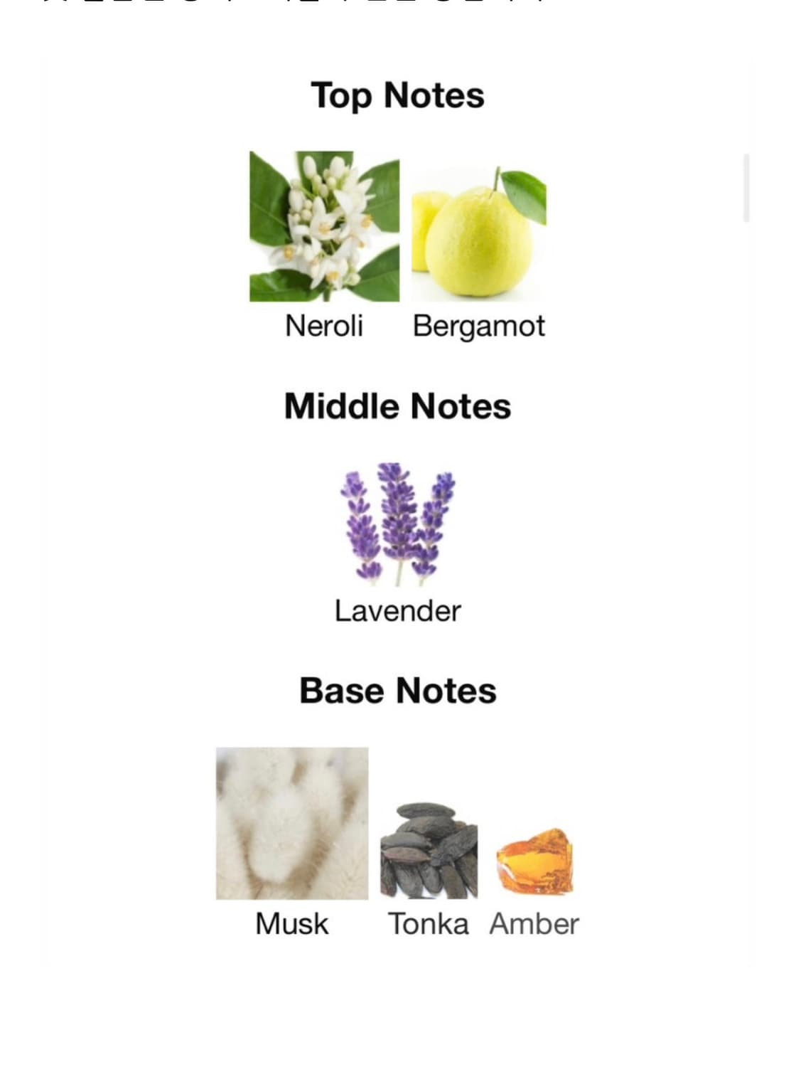 [백화점국문]르라보 라방드31 15ml edp 향수 오드퍼퓸 라벤더향 상품이미지5