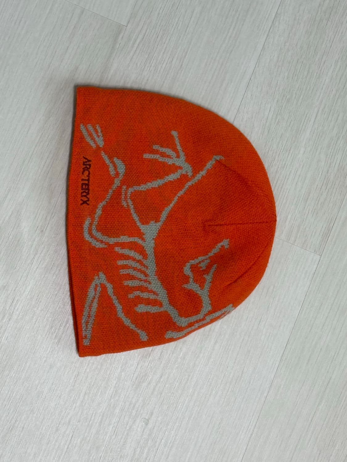 아크테릭스 버드 헤드 토크 페놈 상품이미지1