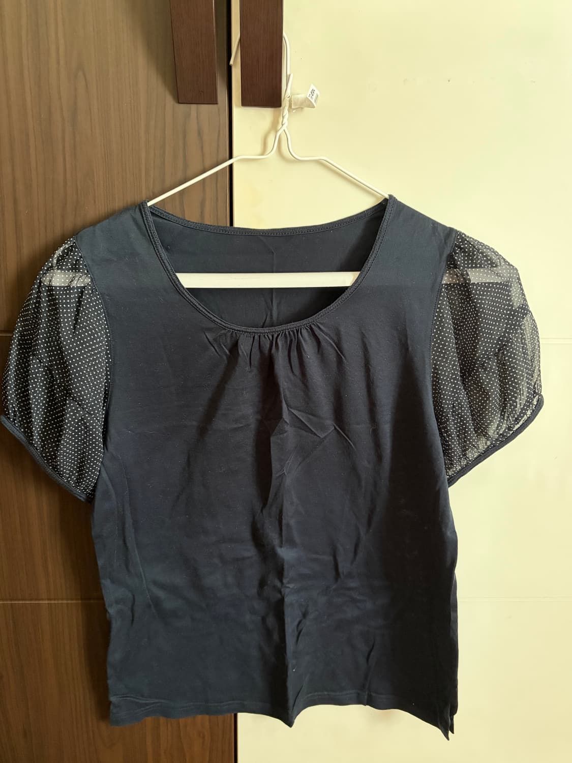 빈티지 도트 시스루 블라우스 반팔 상품이미지2