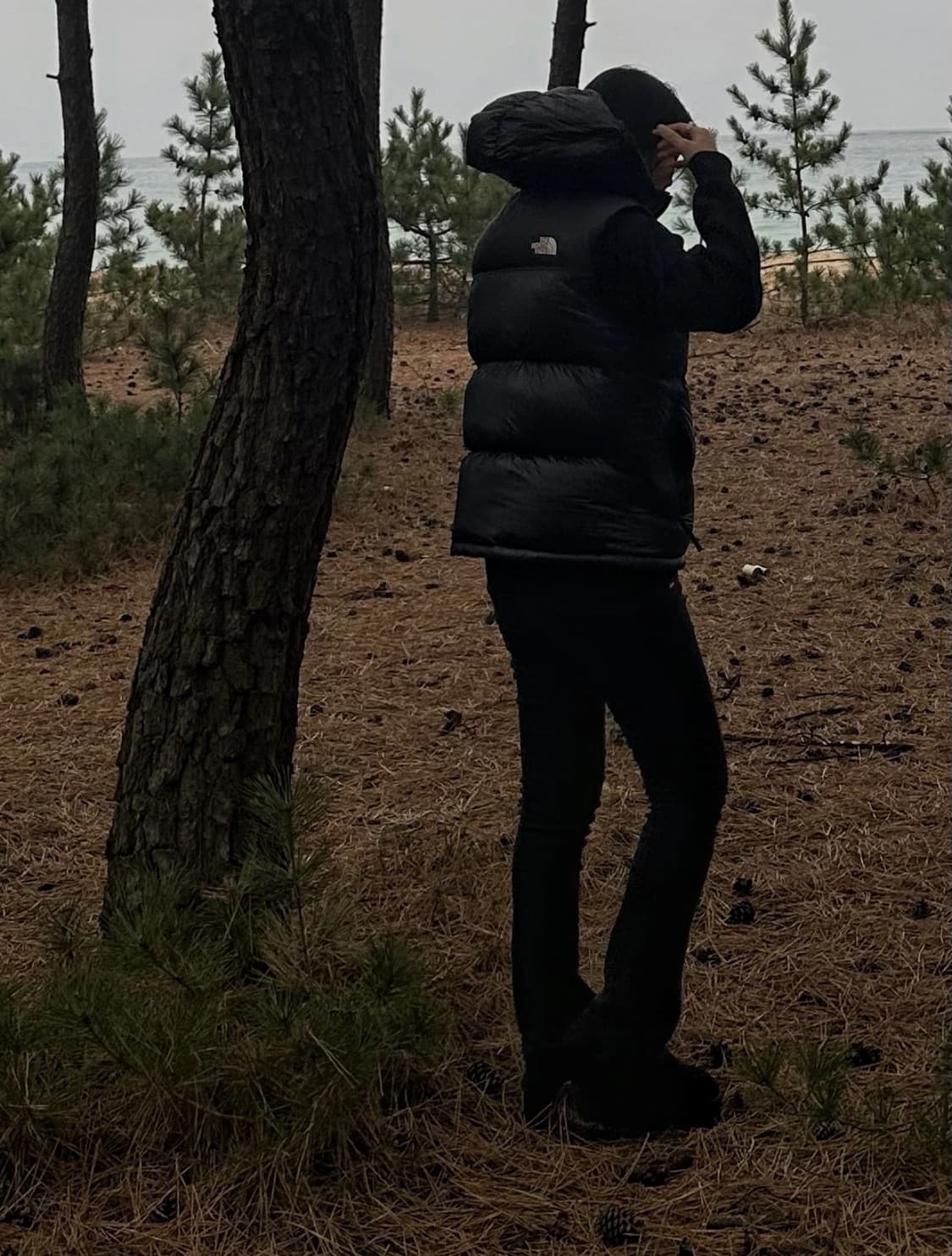 노스페이스 1996 눕시 조끼패딩 상품이미지2