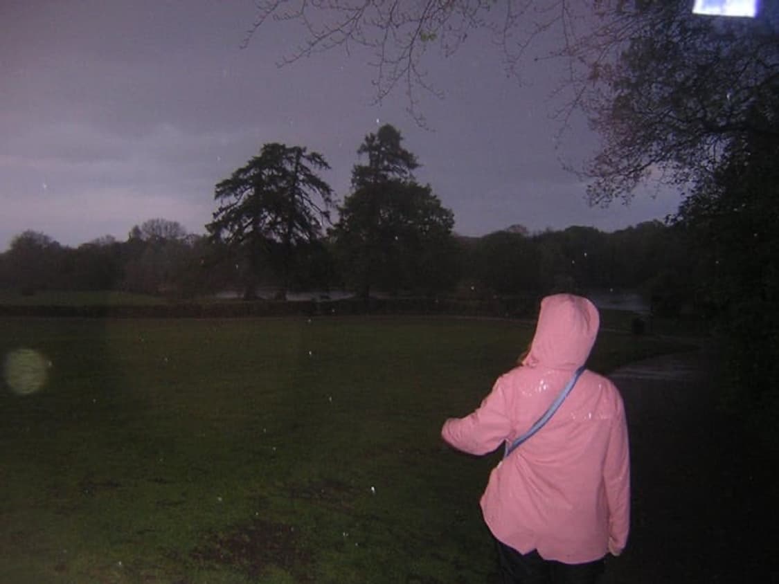 (사쿠라pick) 니콘 쿨픽스 2100 Nikon 빈티지디카 상품이미지9