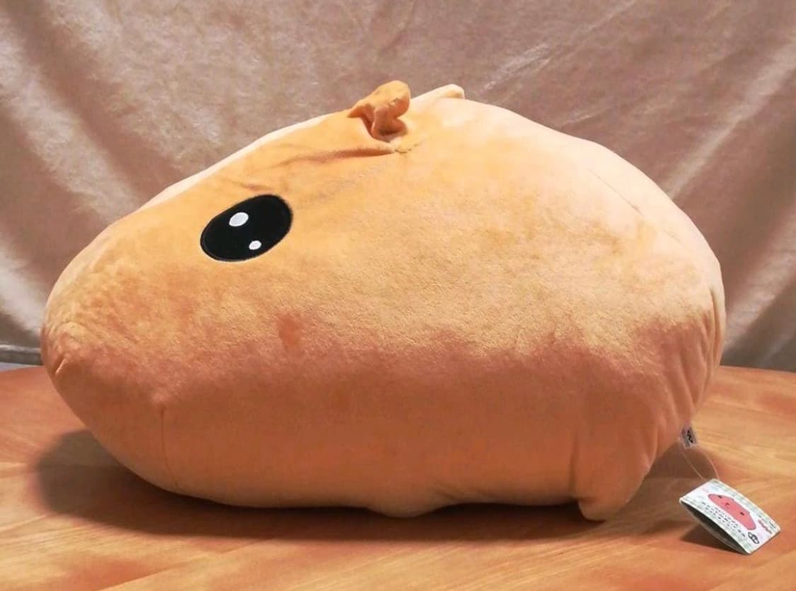 카피바라상 60cm 대형 인형 정품 상품이미지5