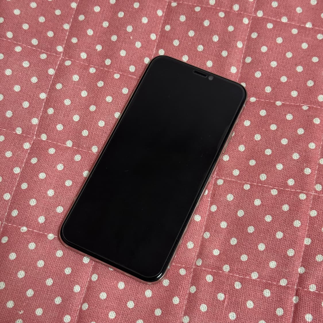 아이폰 x 실버 64GB [교환 가능] 상품이미지2