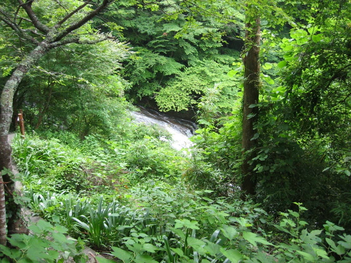 캐논 파워샷 Canon PowerShot S30 실버 상품이미지2