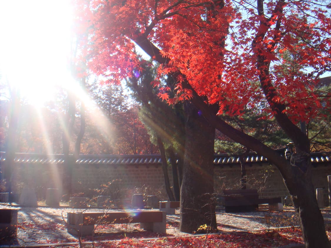 소니 사이버샷 dsc-t2 (작례 O) 상품이미지7