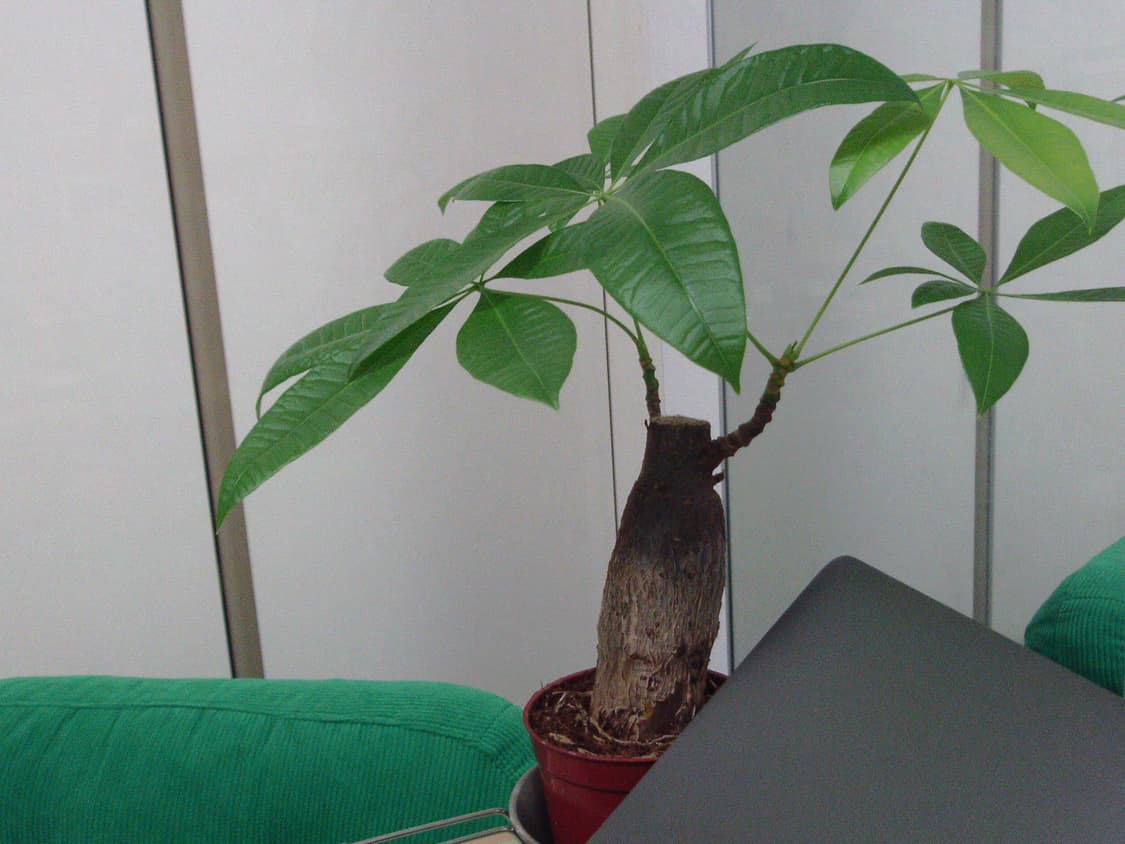 폴라로이드 is625 빈티지 디지털카메라 상품이미지10