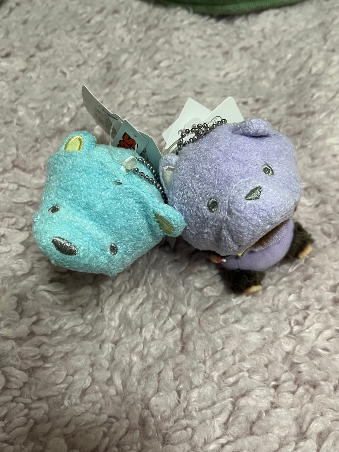 베비치치 곰돌이(보라색) 상품이미지3