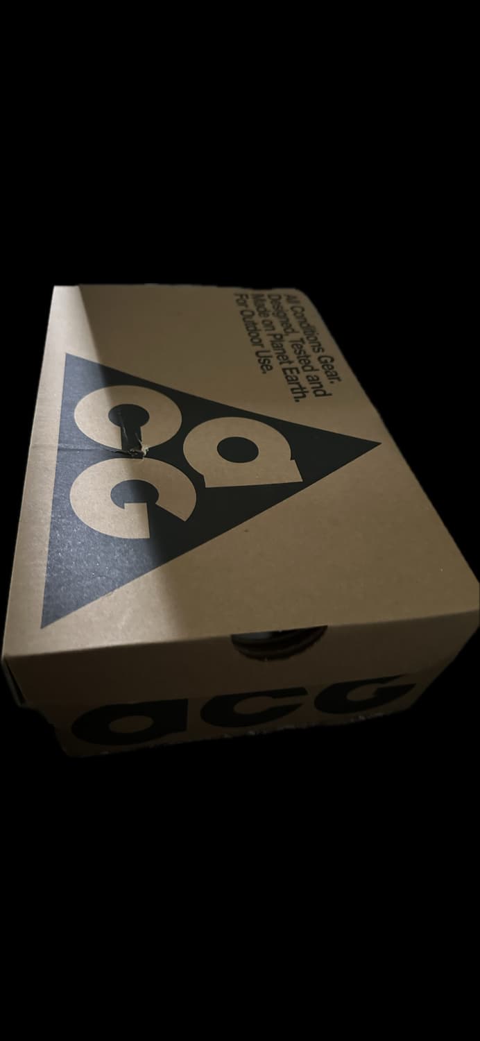나이키 ACG 마운틴 플라이2 로우 고어텍스 260 상품이미지5