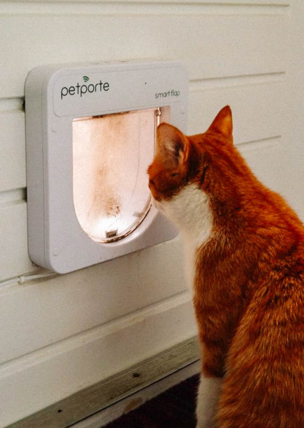 Rollei Compactline 203 (롤라이 콤팩트라인 203) 상품이미지8