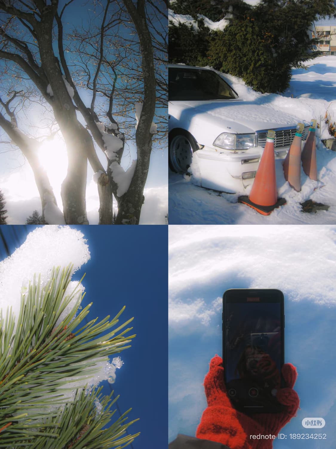 리사디카🤍) 캐논 익서스 80 IS 실버 상품이미지7