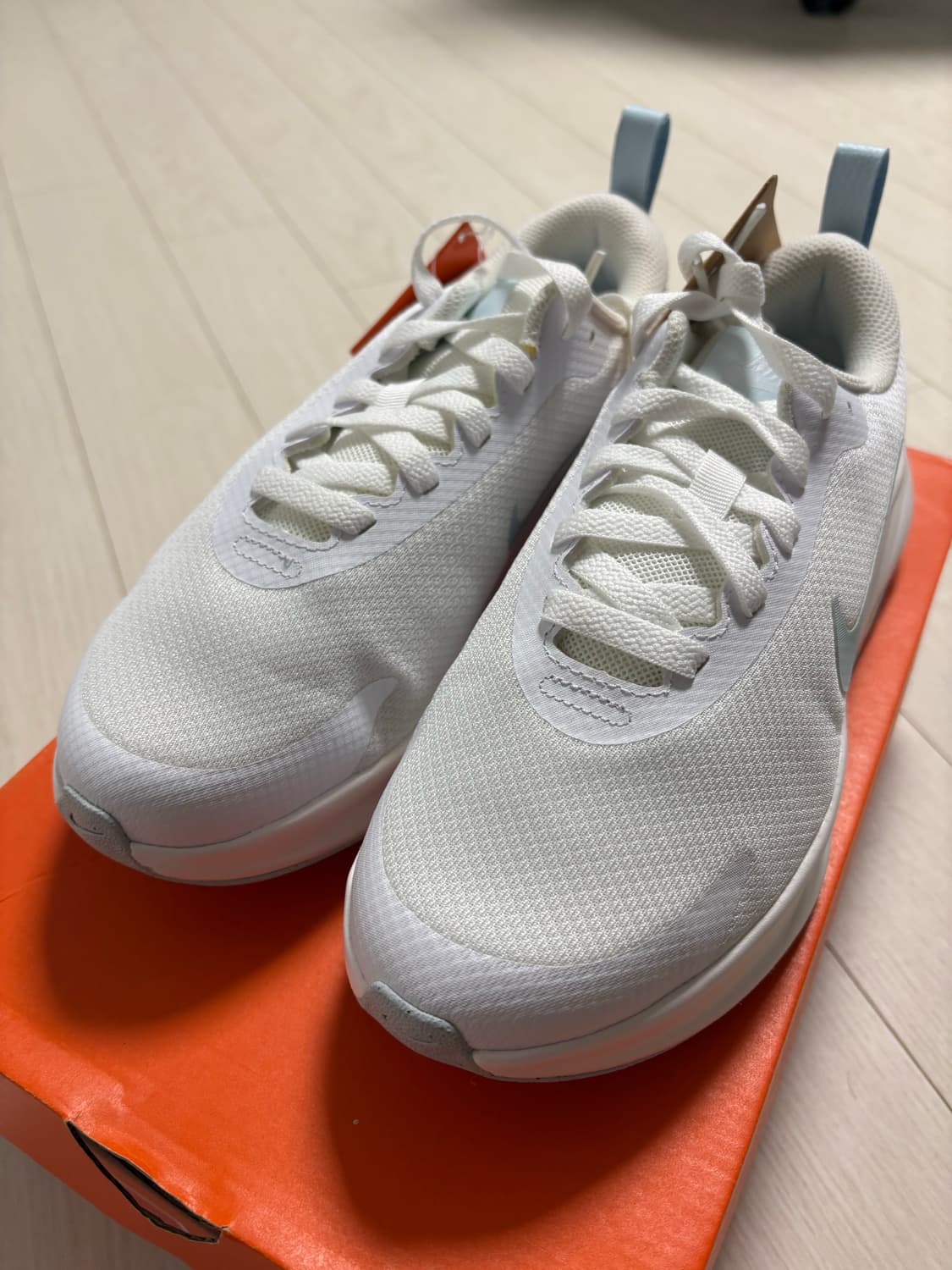 나이키 프로미나 FV6343-105 / 230 상품이미지1