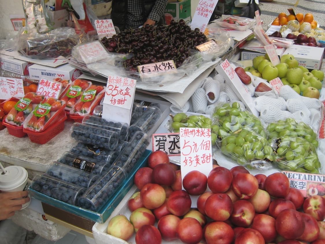 Canon IXUS 850 IS 디지털 카메라 작례0  상품이미지5