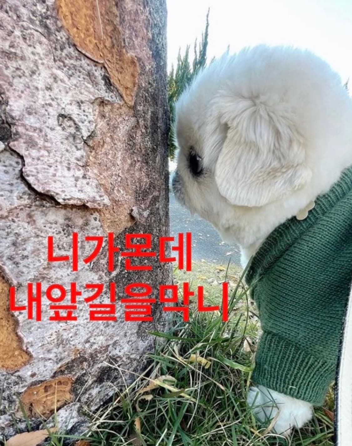 세일연장 및 추석연휴 택배공지임 ㅋ 상품이미지1