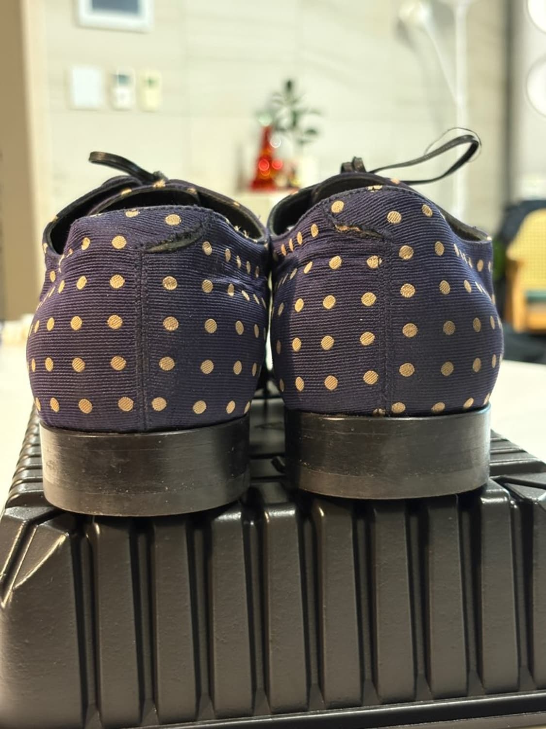 (14SS 런웨이)하이더 아커만 폴카닷 더비 슈즈 상품이미지6