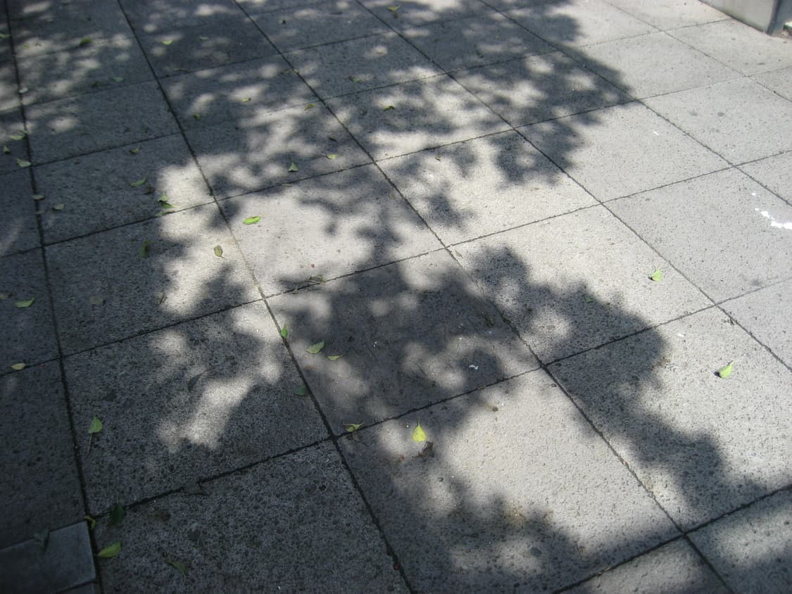 canon IXY70(IXUS 60) 캐논 익시70(익서스60) 상품이미지6