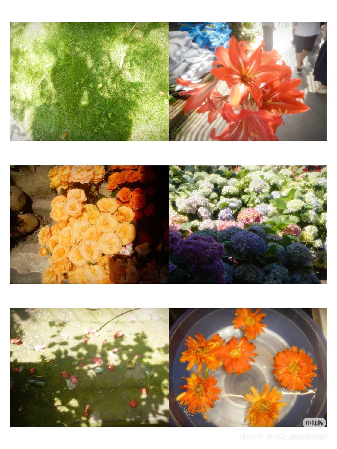 풀박!) Nikon Coolpix aw120 니콘 쿨픽스 블랙 상품이미지4