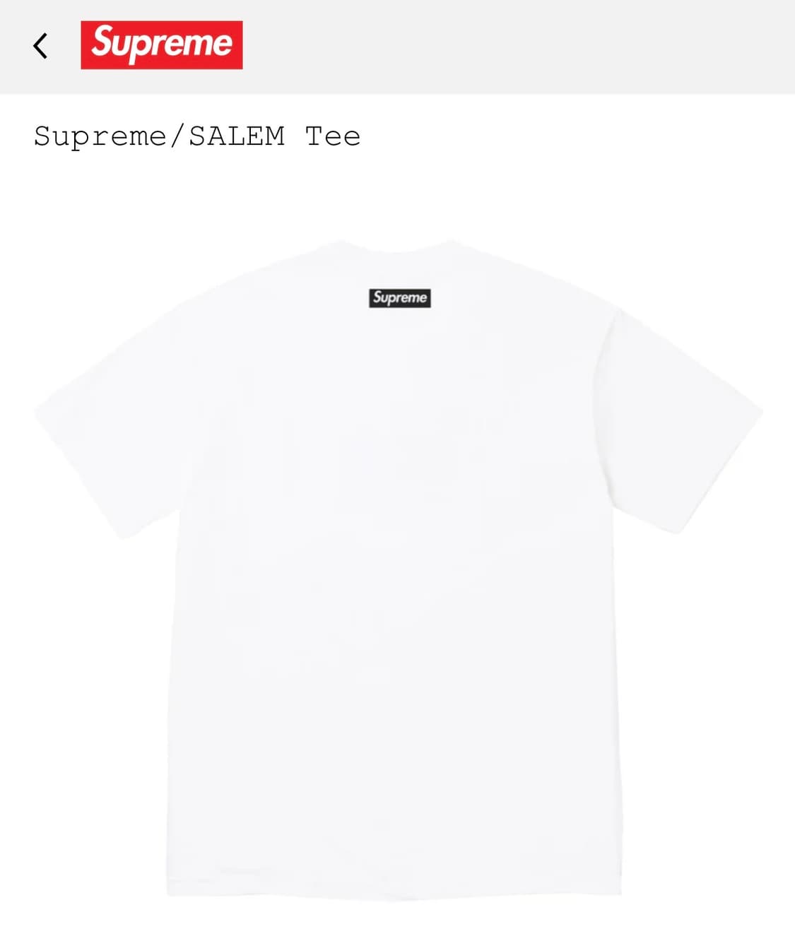 Supreme x SALEM tee 상품이미지2