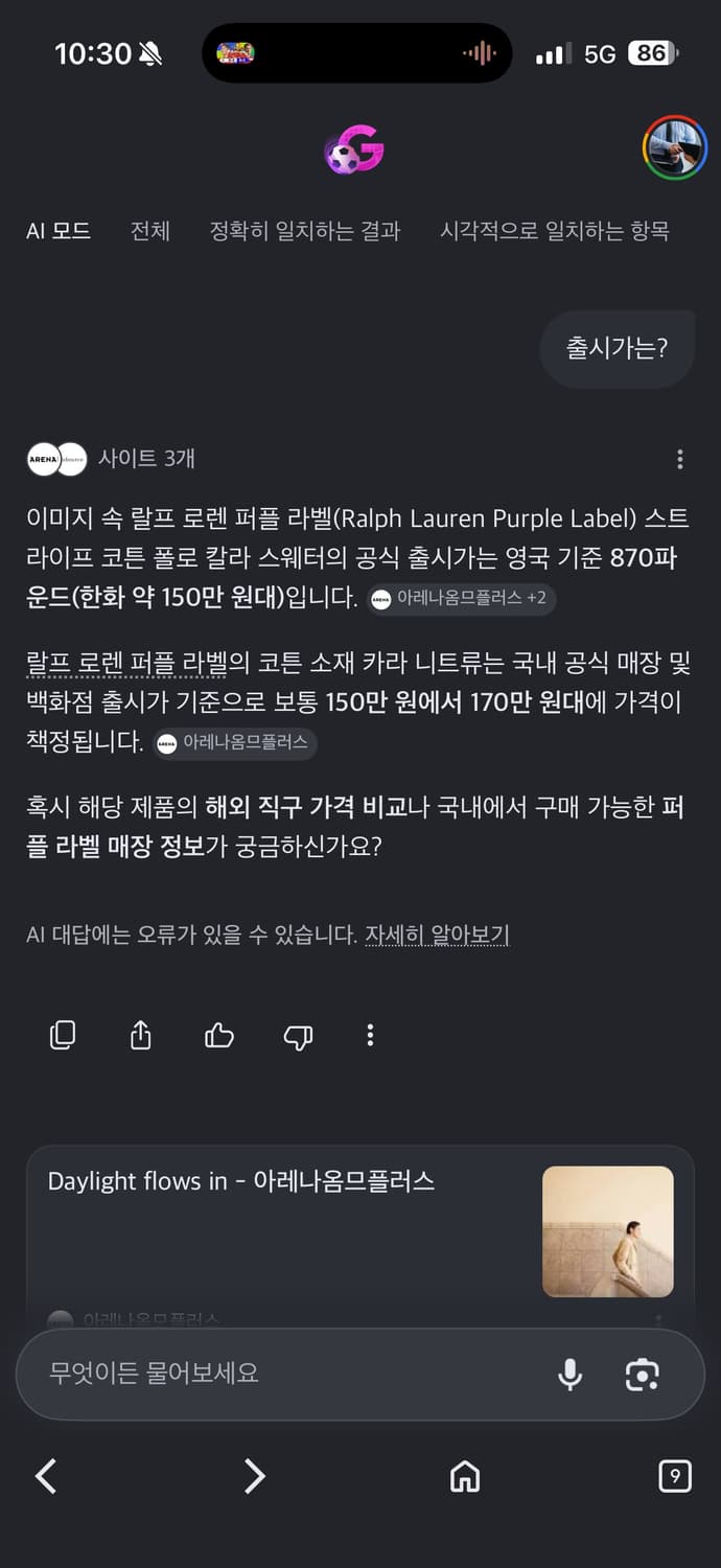 랄프로렌 퍼플라벨 스트라이프 코튼 폴로 칼라 스웨터 상품이미지2