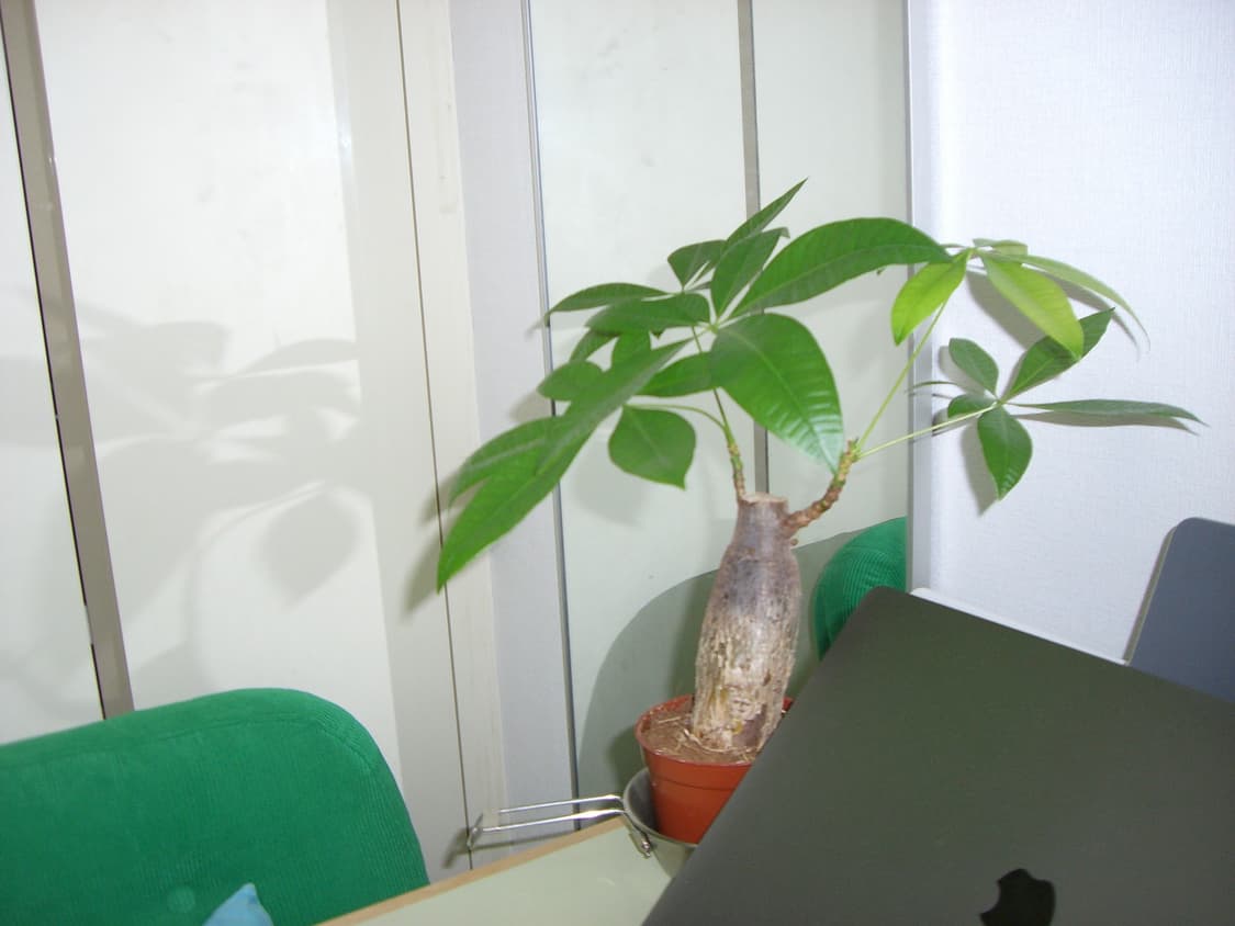 카시오 엑슬림 EX - S600 빈티지 디지털카메라 상품이미지8