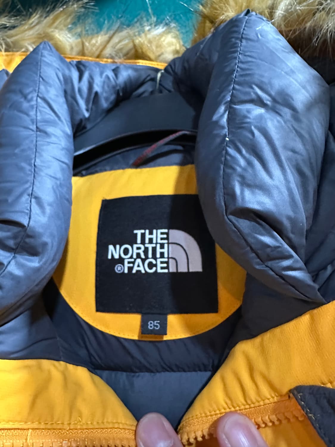 노스페이스 눕시 패딩 옐로우85 상품이미지3