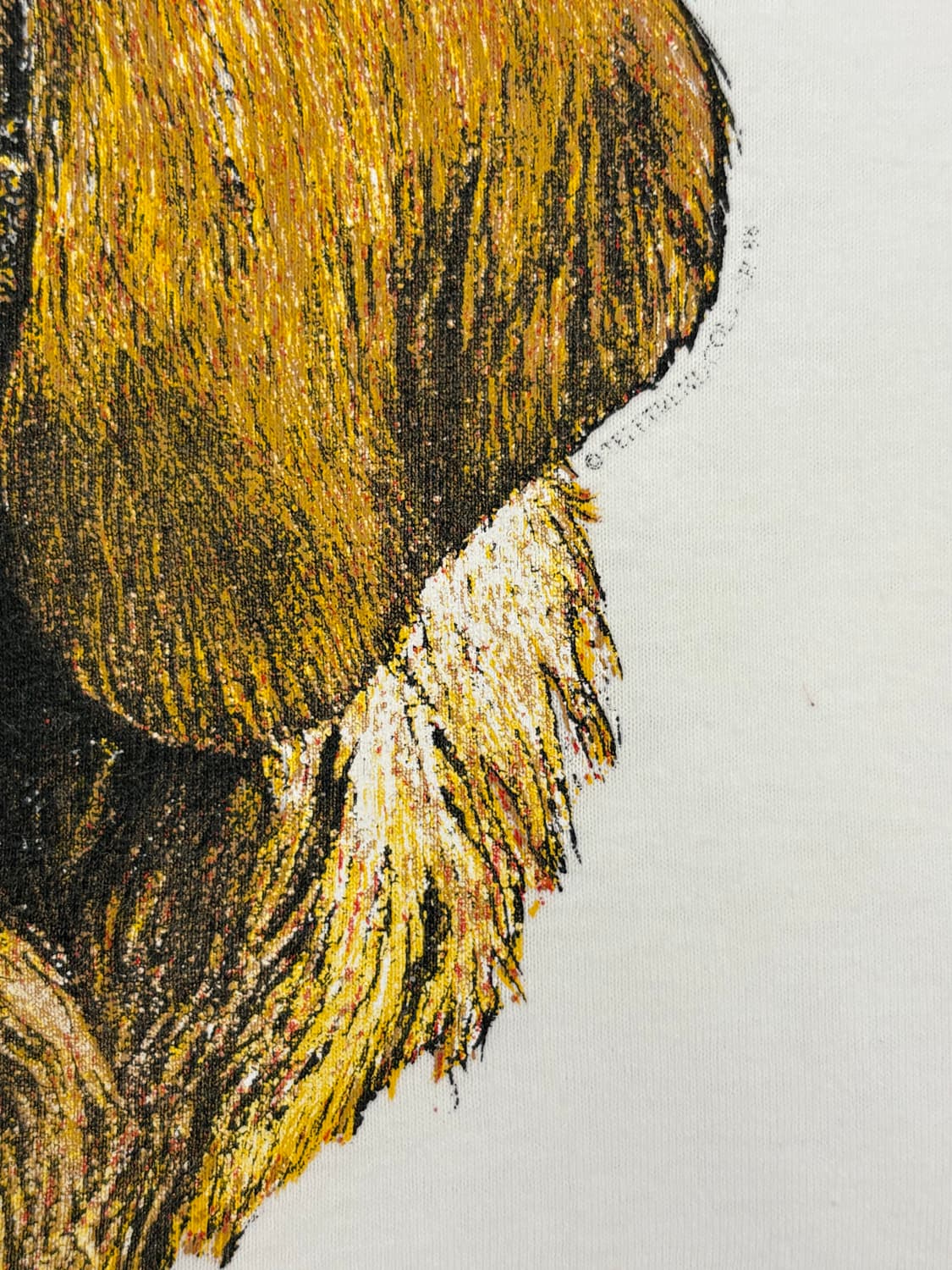 Anvil 골든래트리버 티셔츠 상품이미지4