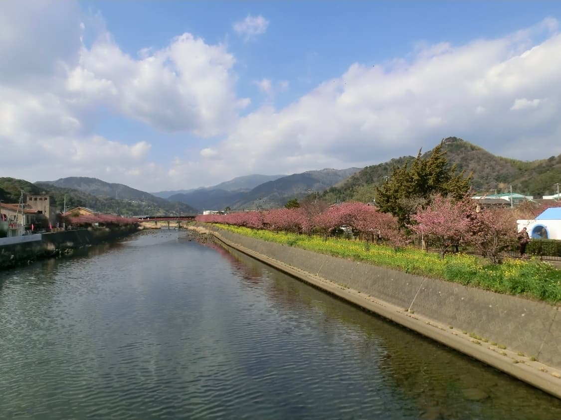 ✨ 카시오 EXILIM H30 골드 ✨ 상품이미지7