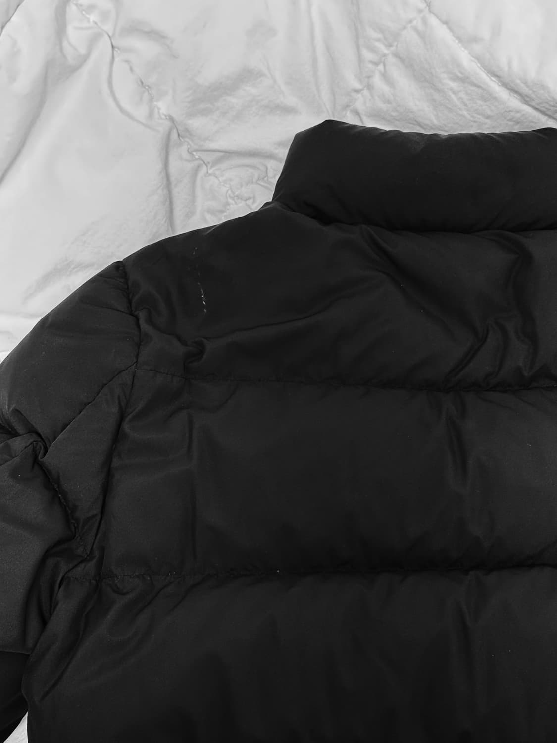 Lee패딩 덕다운 상품이미지4