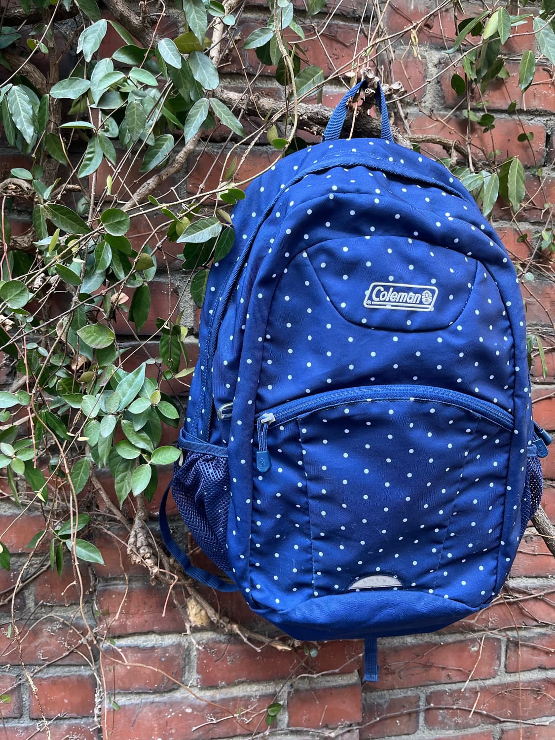 coleman 네이비 도트 백팩 상품이미지6
