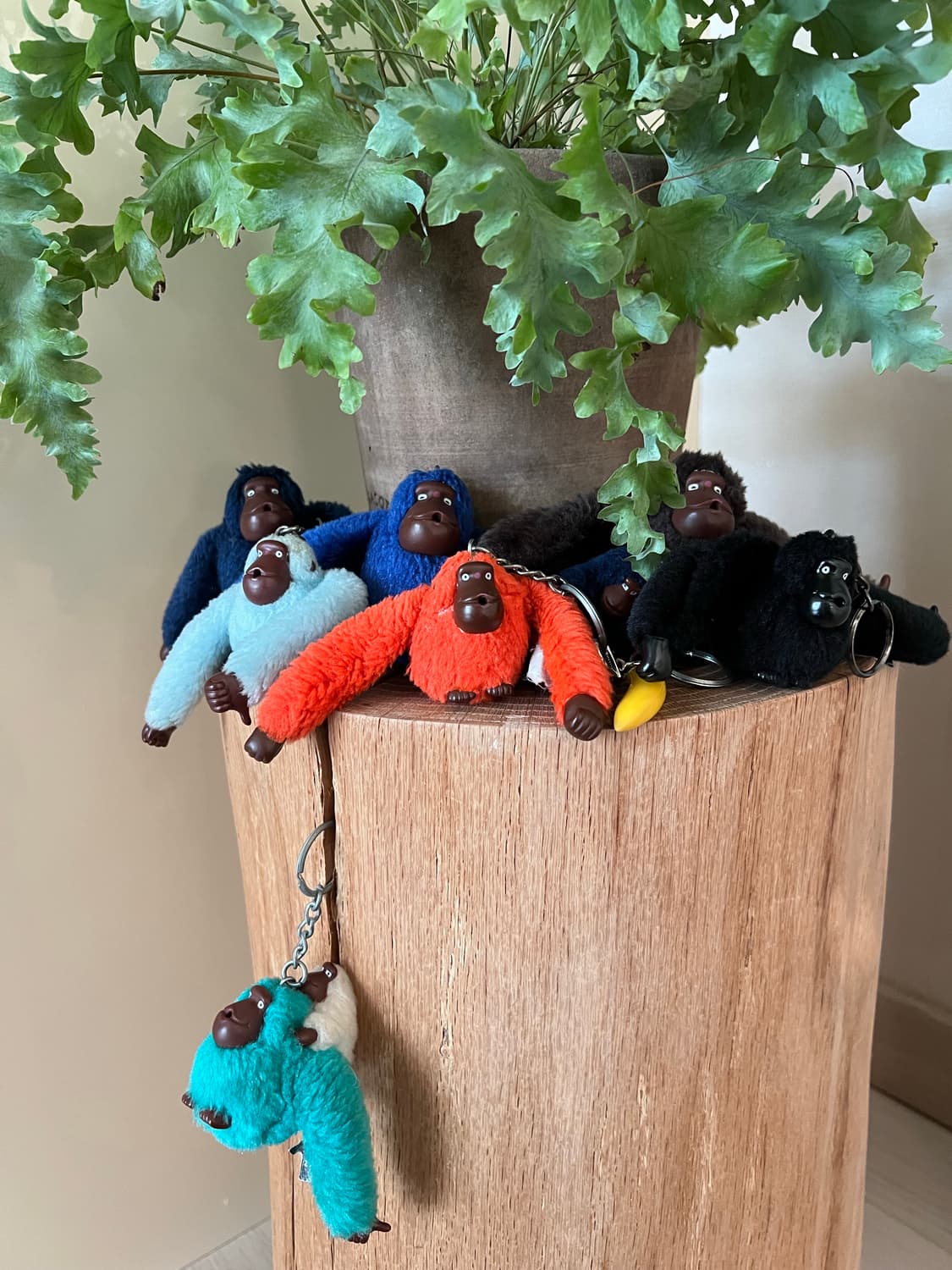 키플링　몽키 키링 8set 상품이미지1