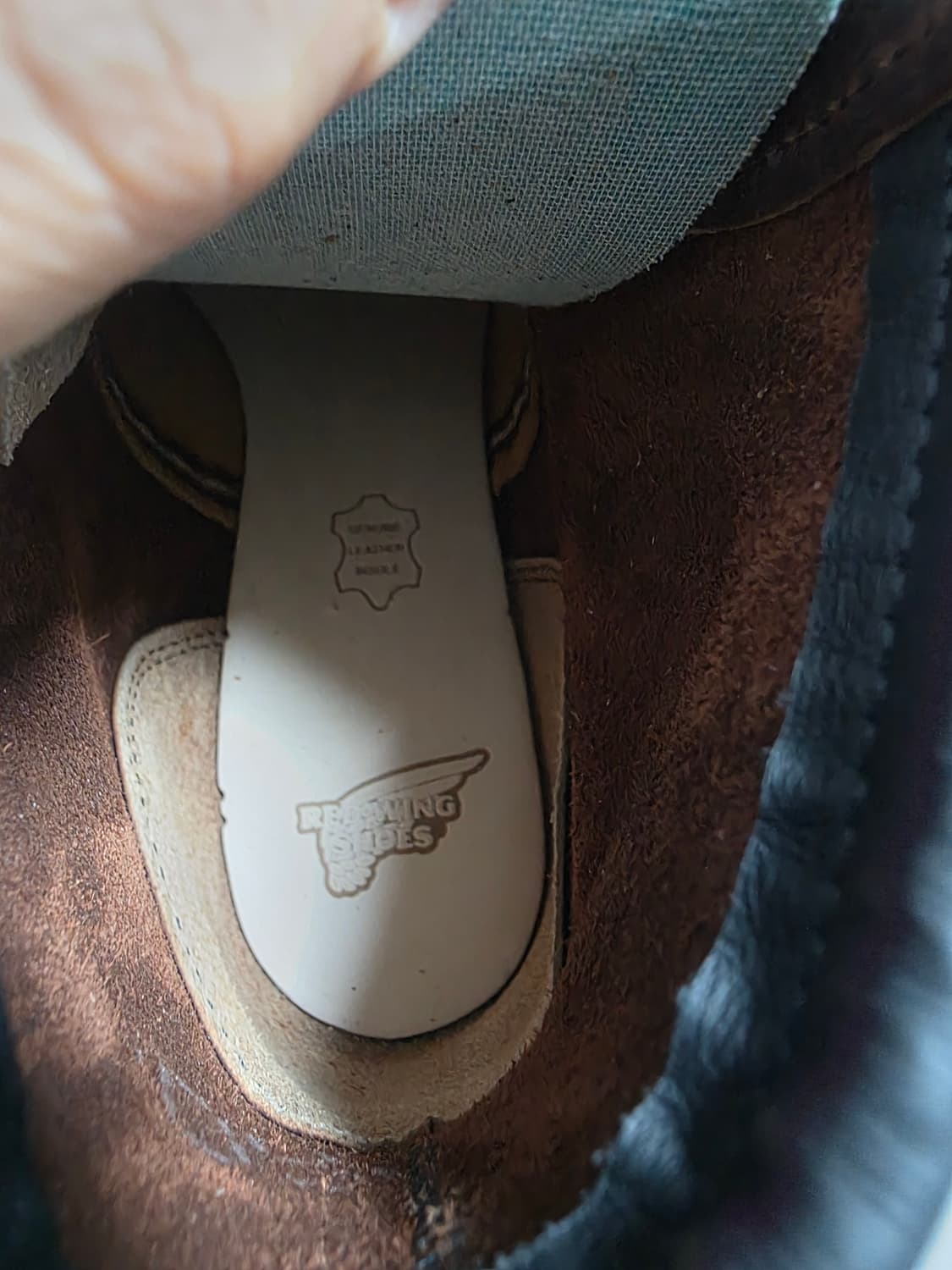 레드윙 8146 270사이즈 상품이미지5