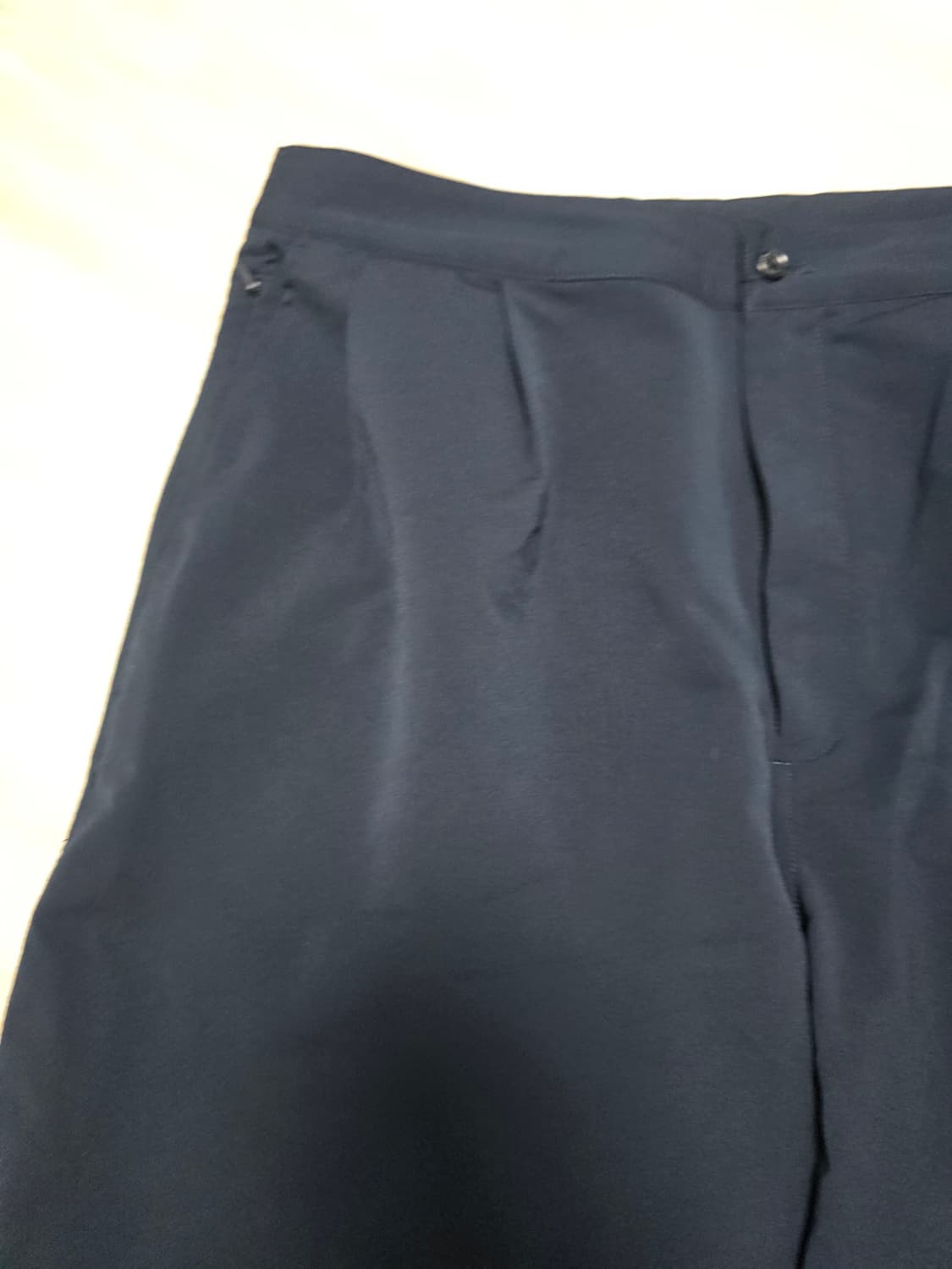 나나미카 알파드라이 더블 플리츠 쇼츠 BLACK nanamica- 36 상품이미지2