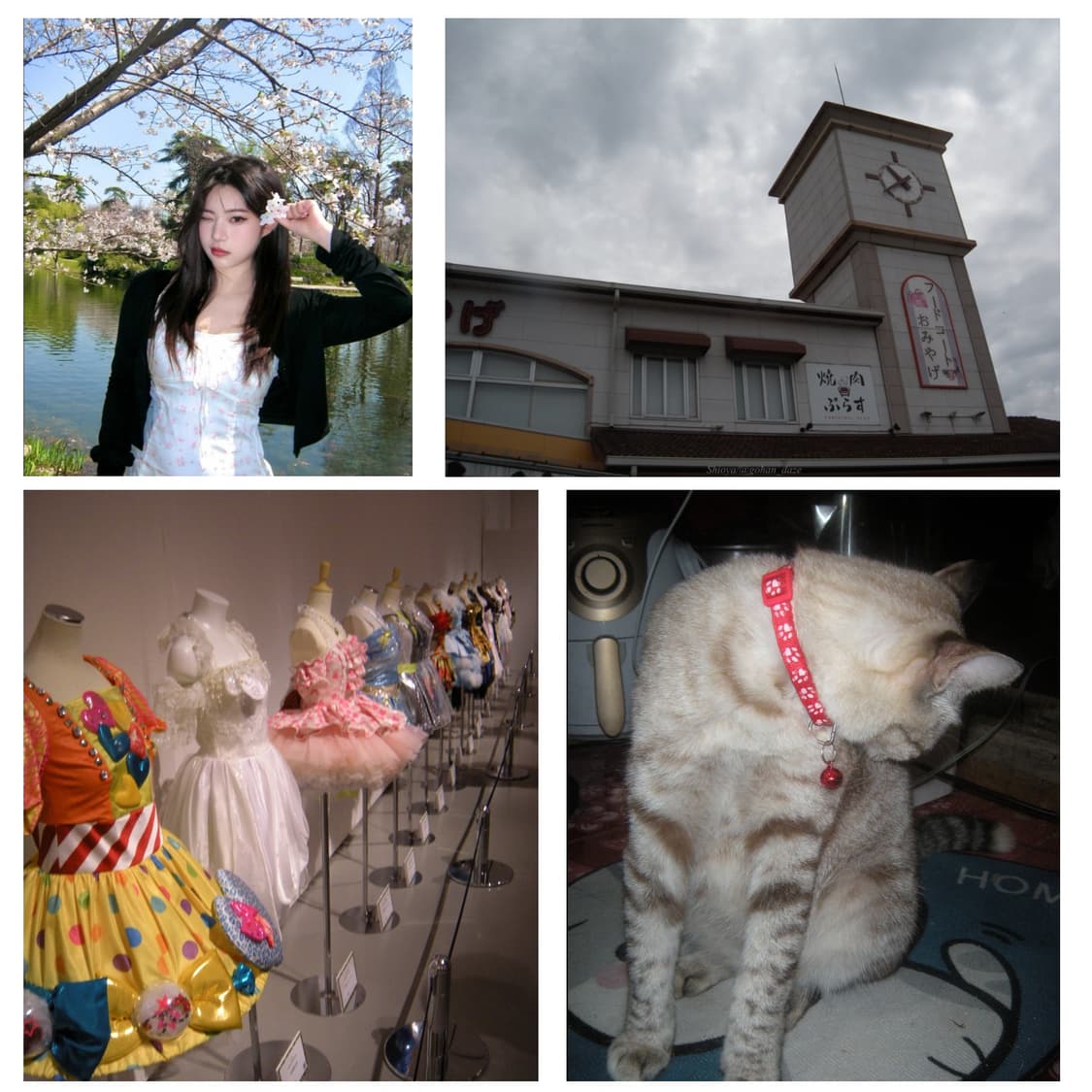 니콘 쿨픽스 s60 (작례 0) 상품이미지4