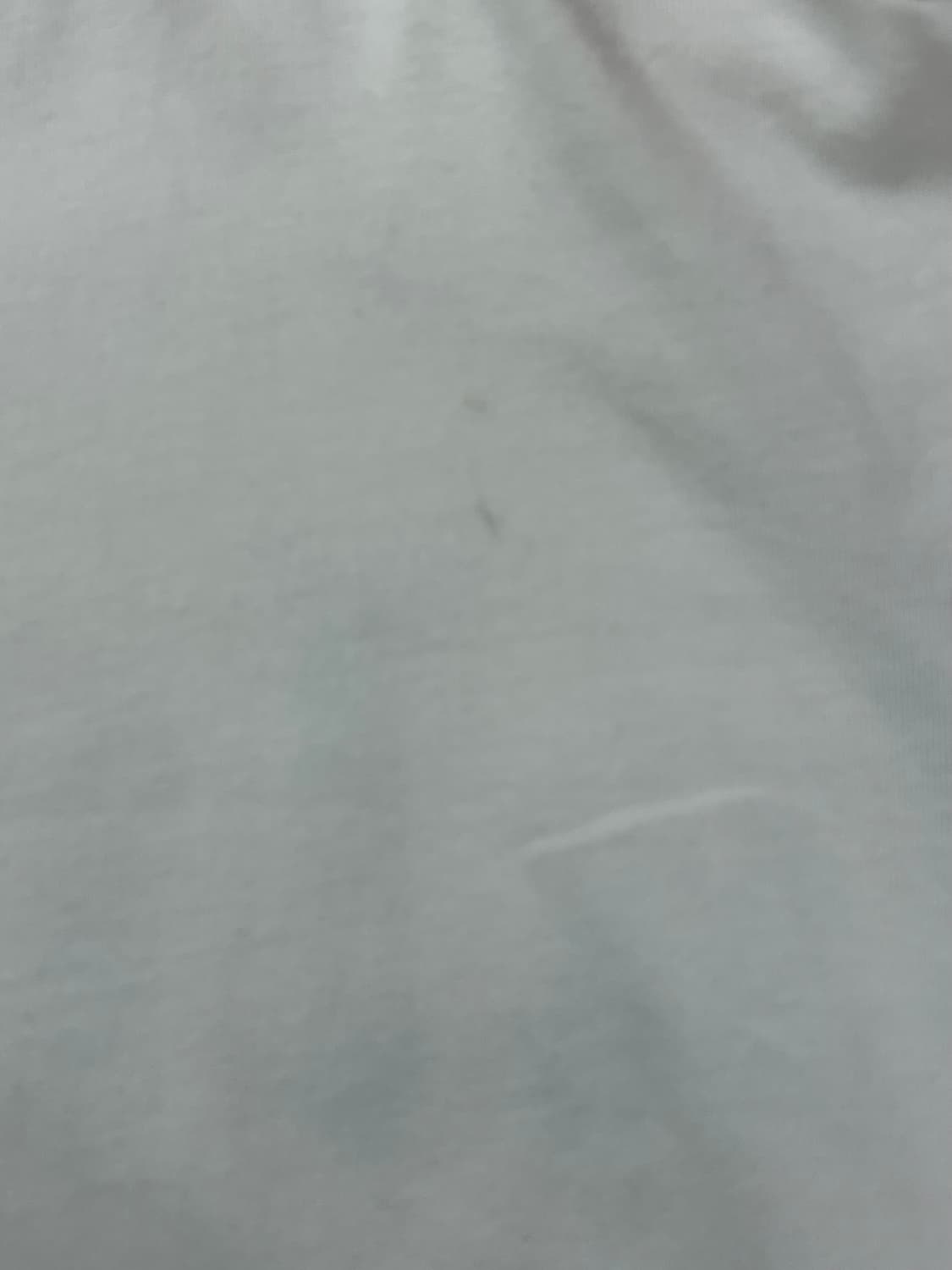팜엔젤스 백커브드 로고 반팔티 화이트 M #csz1373 상품이미지6