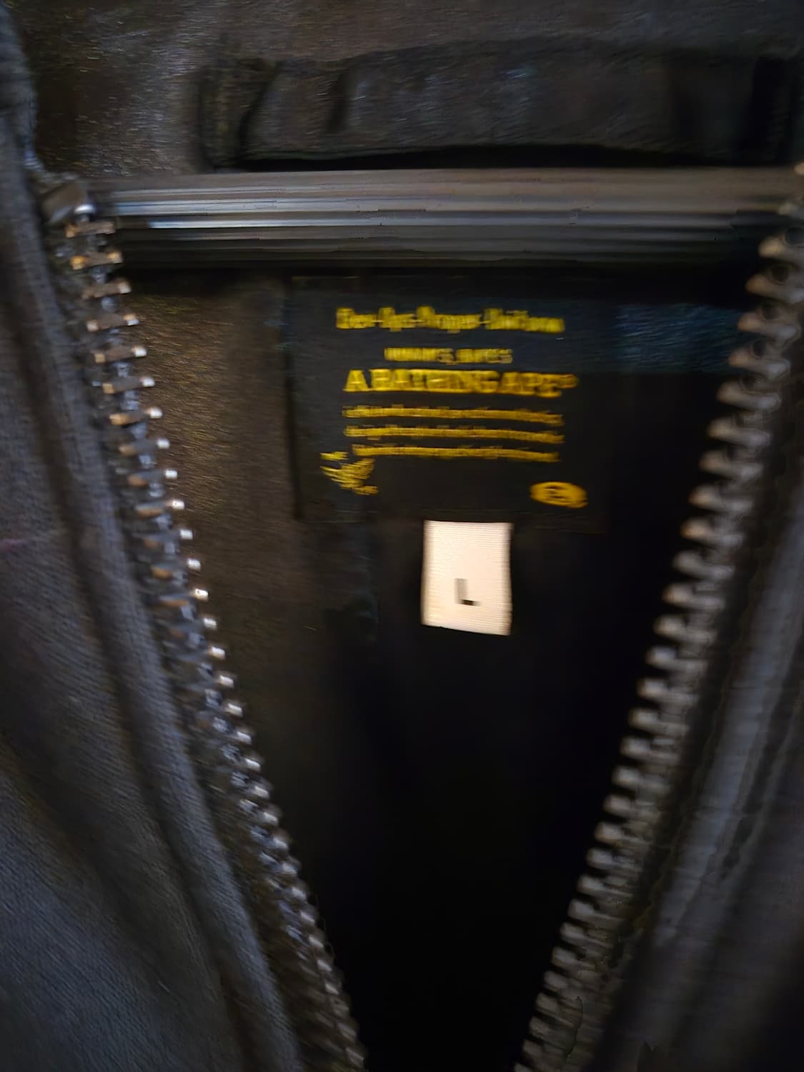 베이프 샤크 쟈켓 상품이미지3