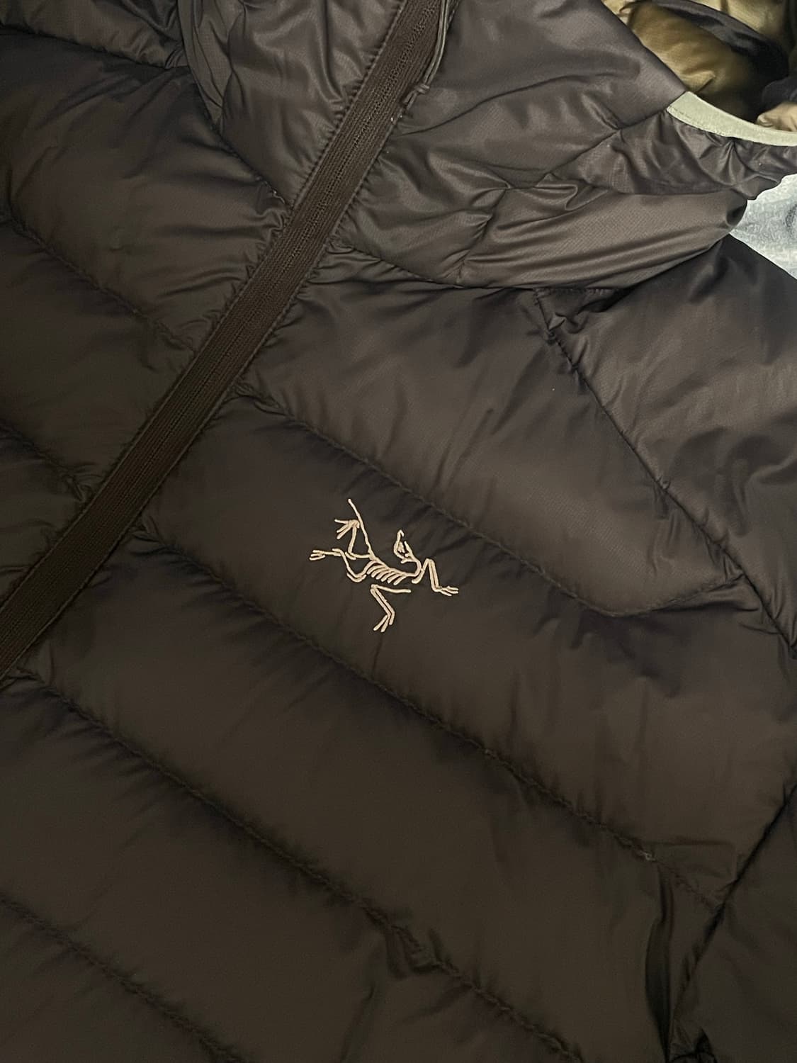 아크테릭스 세륨 후디 비터스 M 상품이미지4